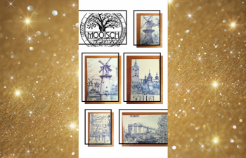 Orginele ansichtkaarten van Schiedam